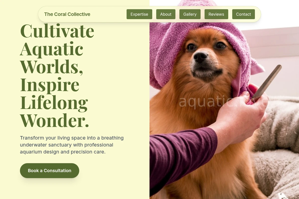 Java Animal Care
