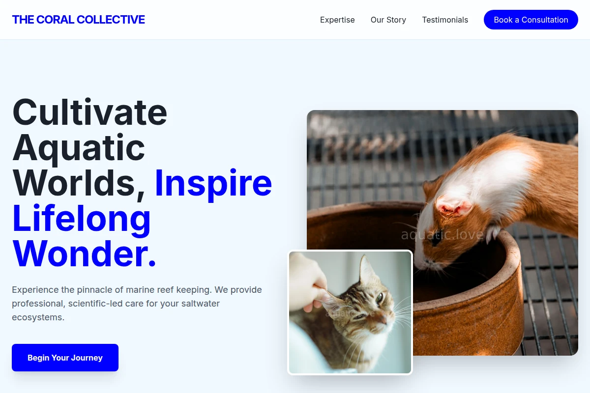 Reef Animal Care