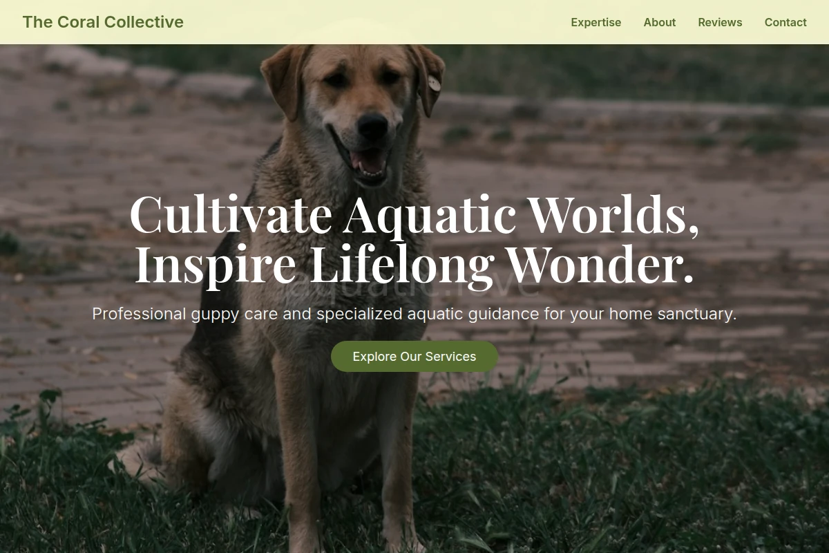Guppy Animal Care