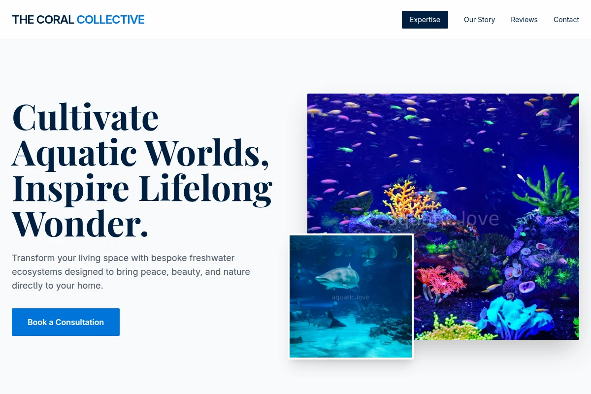 Freshwater Aquarium