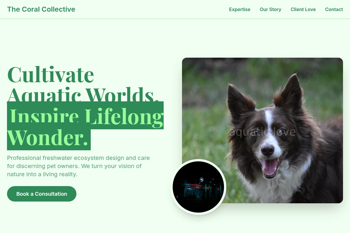 Freshwater Pet Services